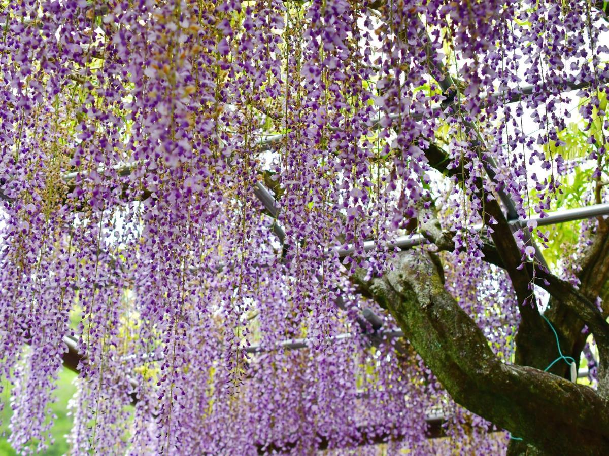 Hotel Tomioka-Ya Фуджиеда Экстерьер фото